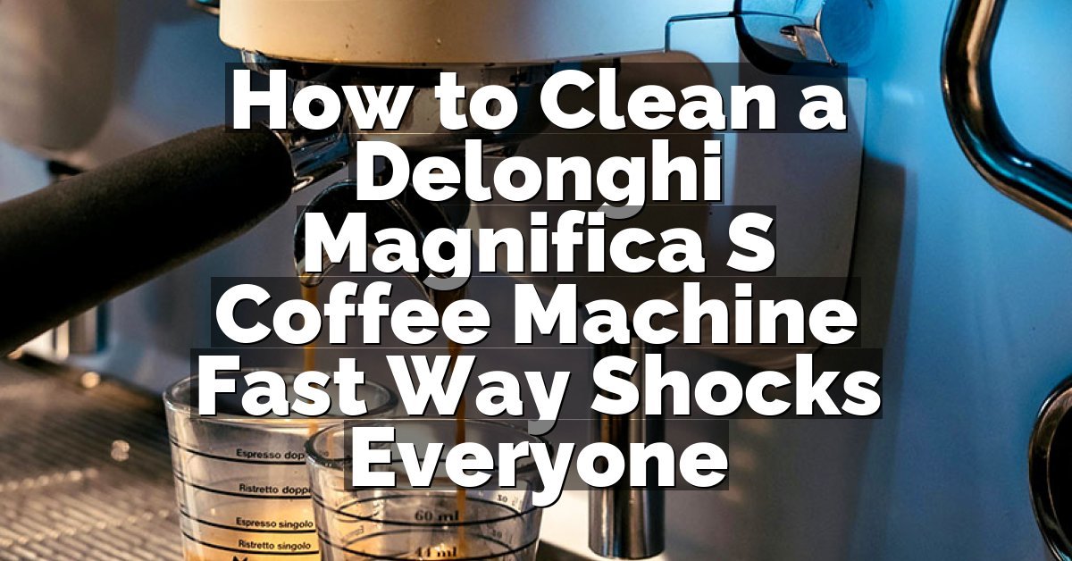 How to Clean a Delonghi Magnifica S Coffee Machine Fast Way Shocks Everyone