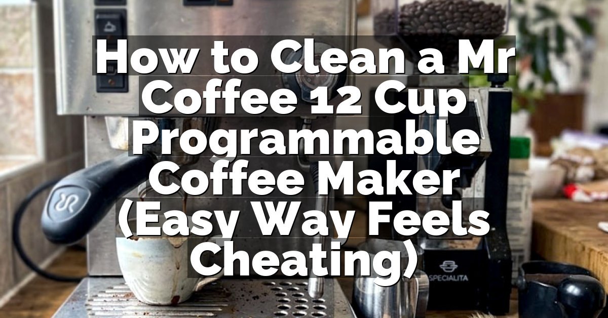 How to Clean a Mr Coffee 12 Cup Programmable Coffee Maker (Easy Way Feels Cheating)