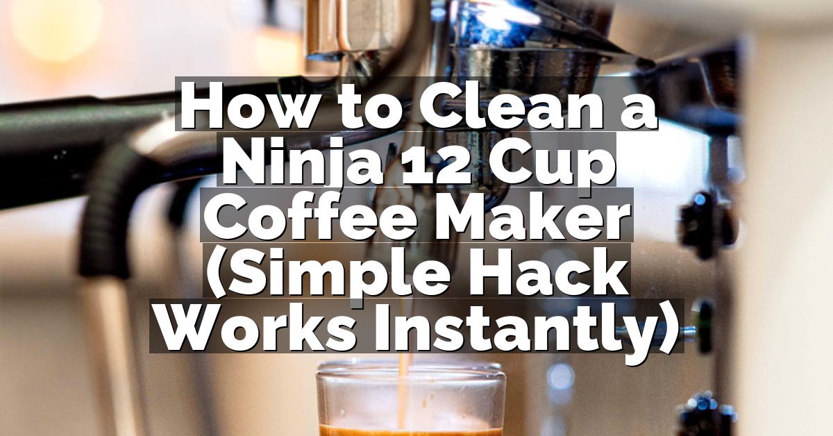 How to Clean a Ninja 12 Cup Coffee Maker (Simple Hack Works Instantly)