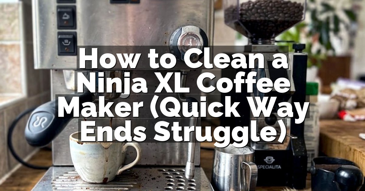 How to Clean a Ninja XL Coffee Maker (Quick Way Ends Struggle)