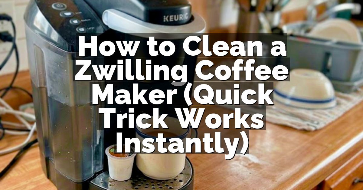 How to Clean a Zwilling Coffee Maker (Quick Trick Works Instantly)