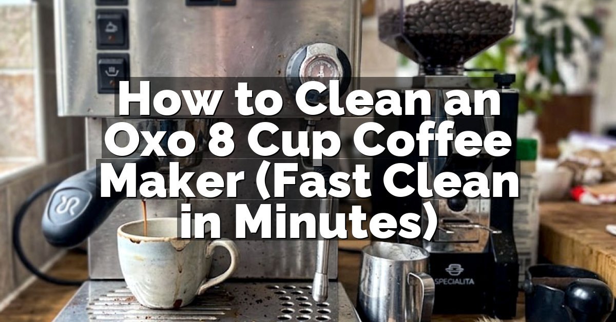How to Clean an Oxo 8 Cup Coffee Maker (Fast Clean in Minutes)