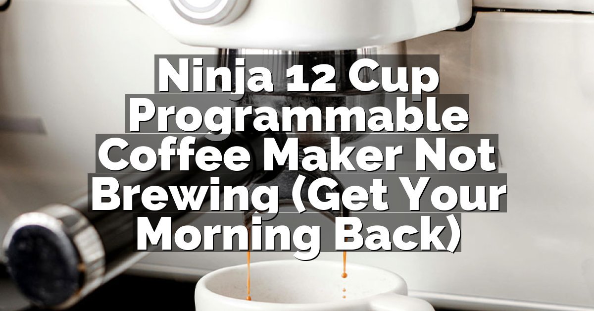 Ninja 12 Cup Programmable Coffee Maker Not Brewing (Get Your Morning Back)
