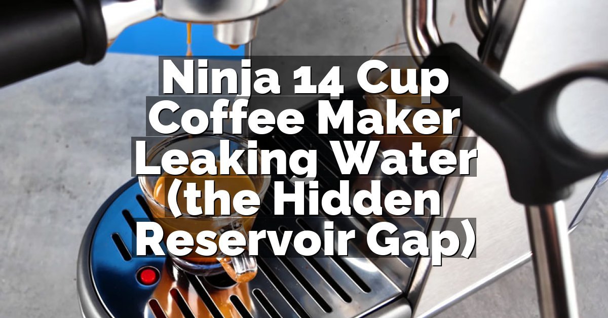 Ninja 14 Cup Coffee Maker Leaking Water (the Hidden Reservoir Gap)